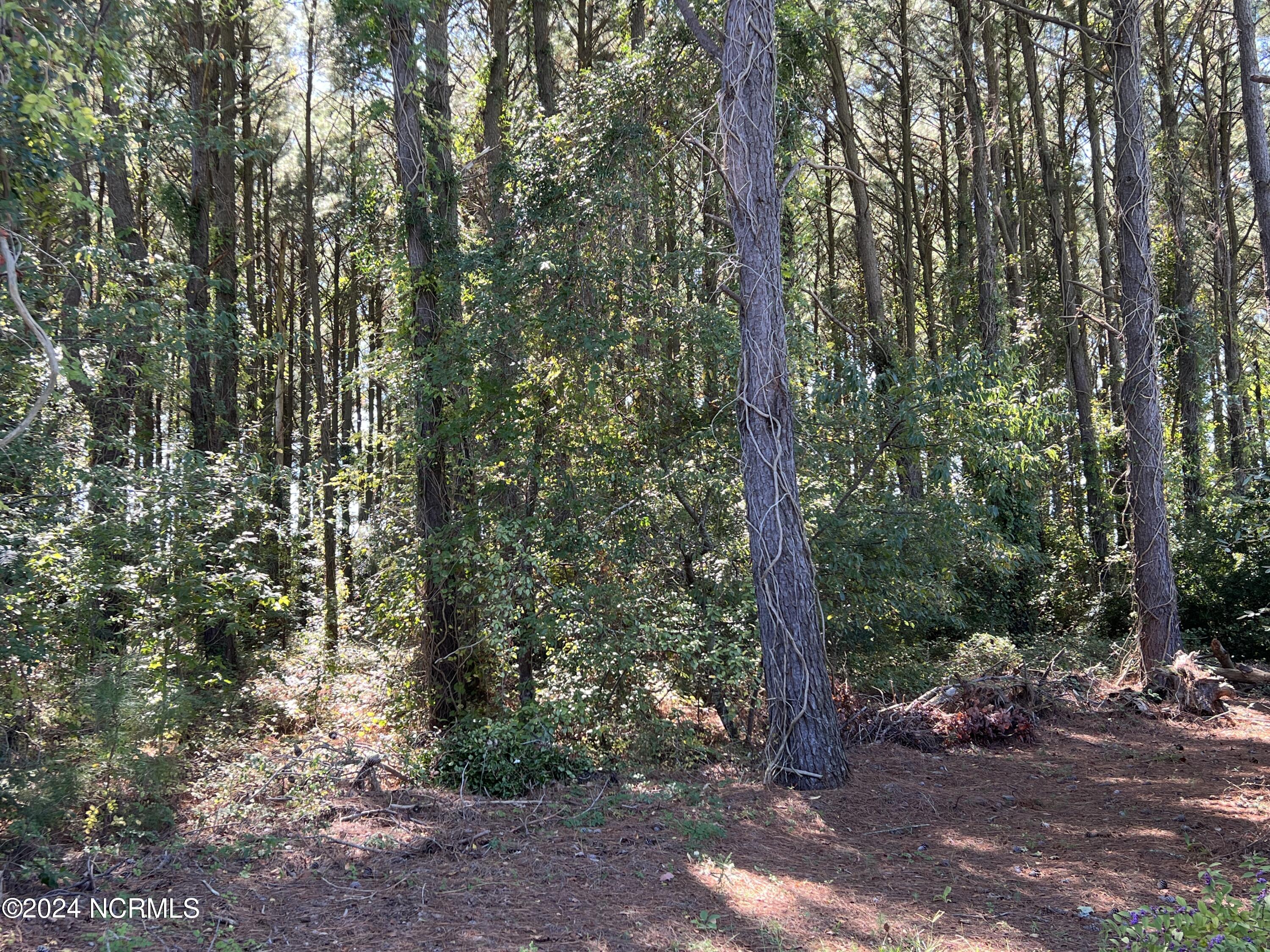 Lots 1,2&3 Caratoke Highway Property Photo 8