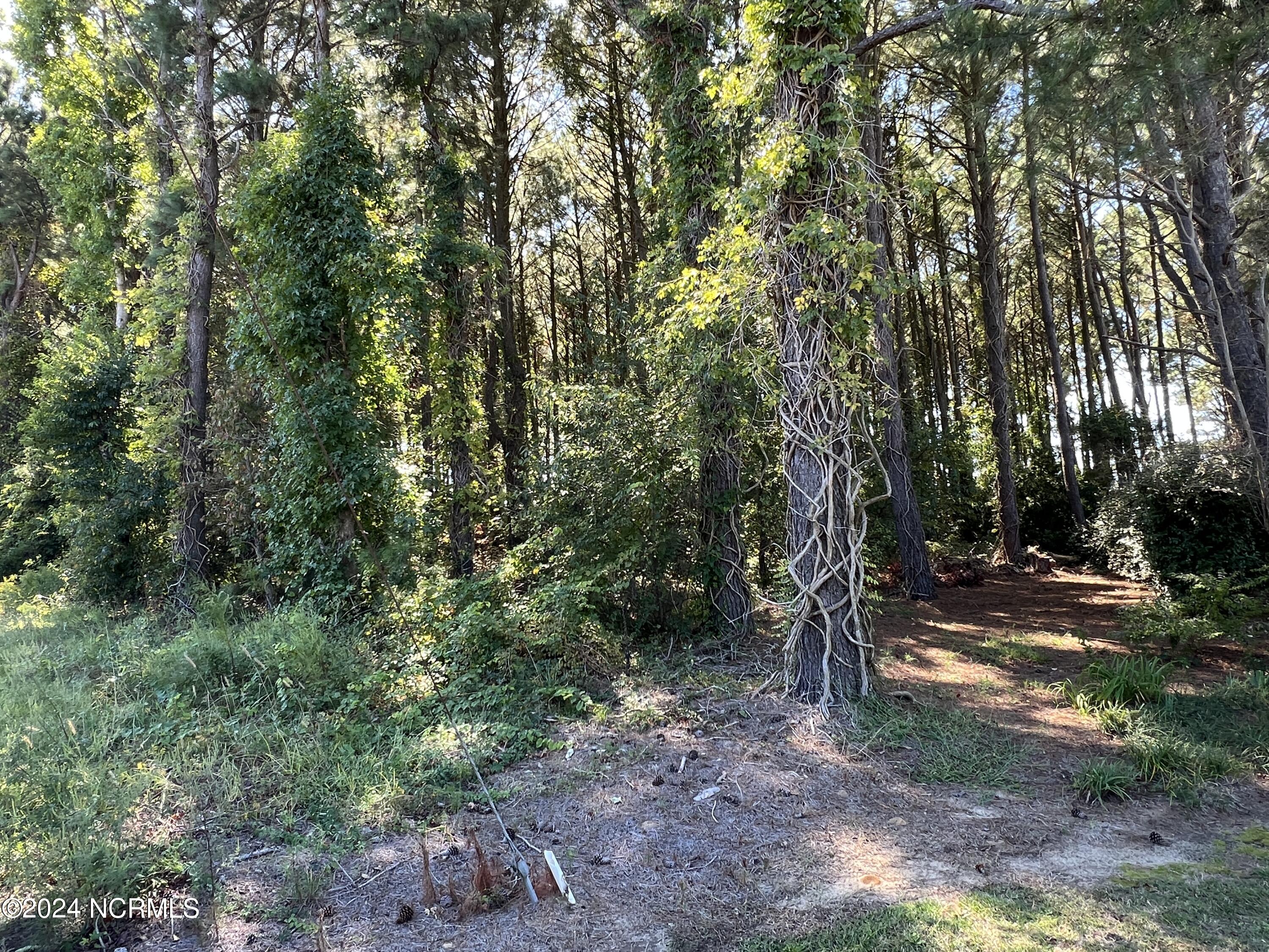 Lots 1,2&3 Caratoke Highway Property Photo 10