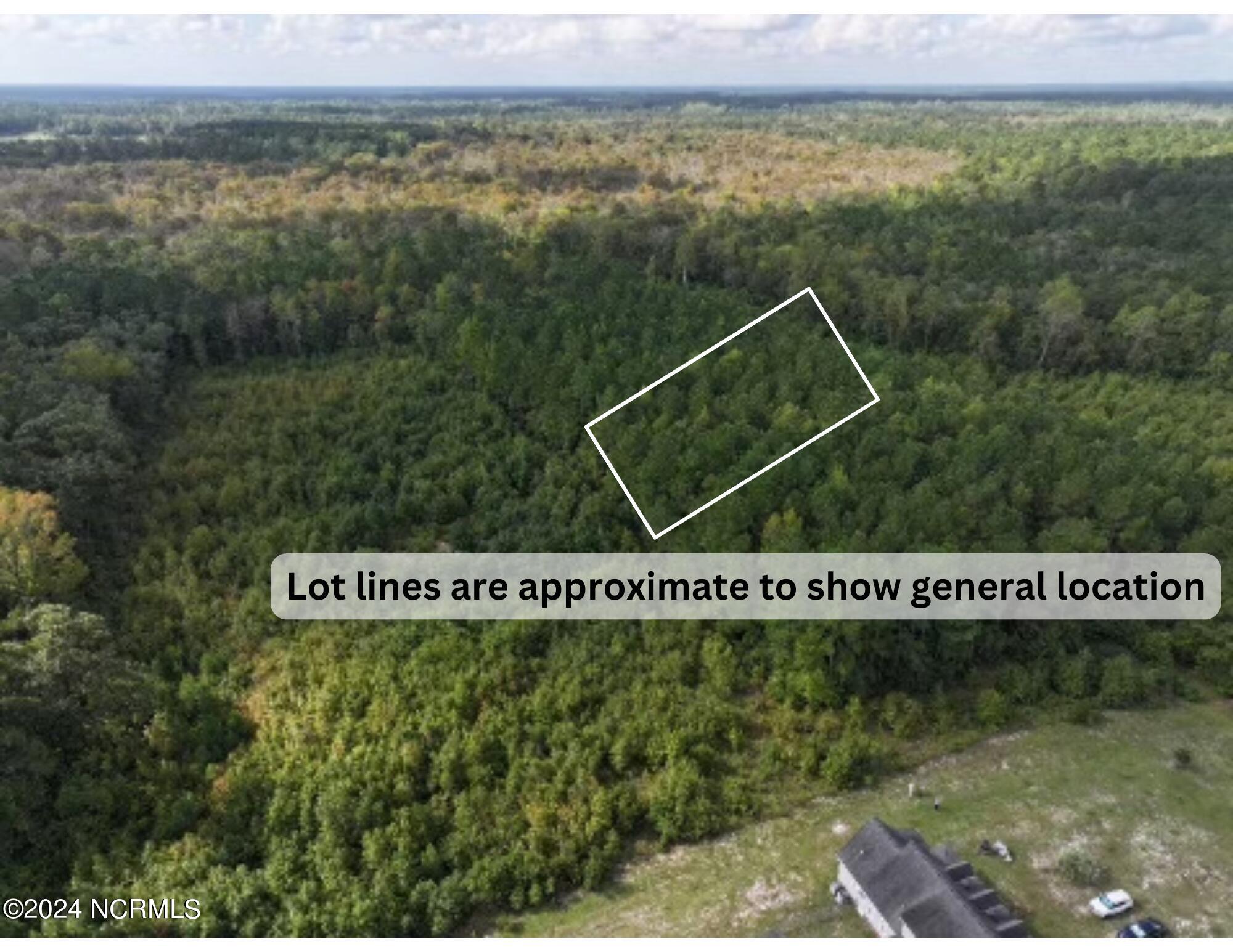 Lot 3 Palmers Branch Drive Property Photo 1