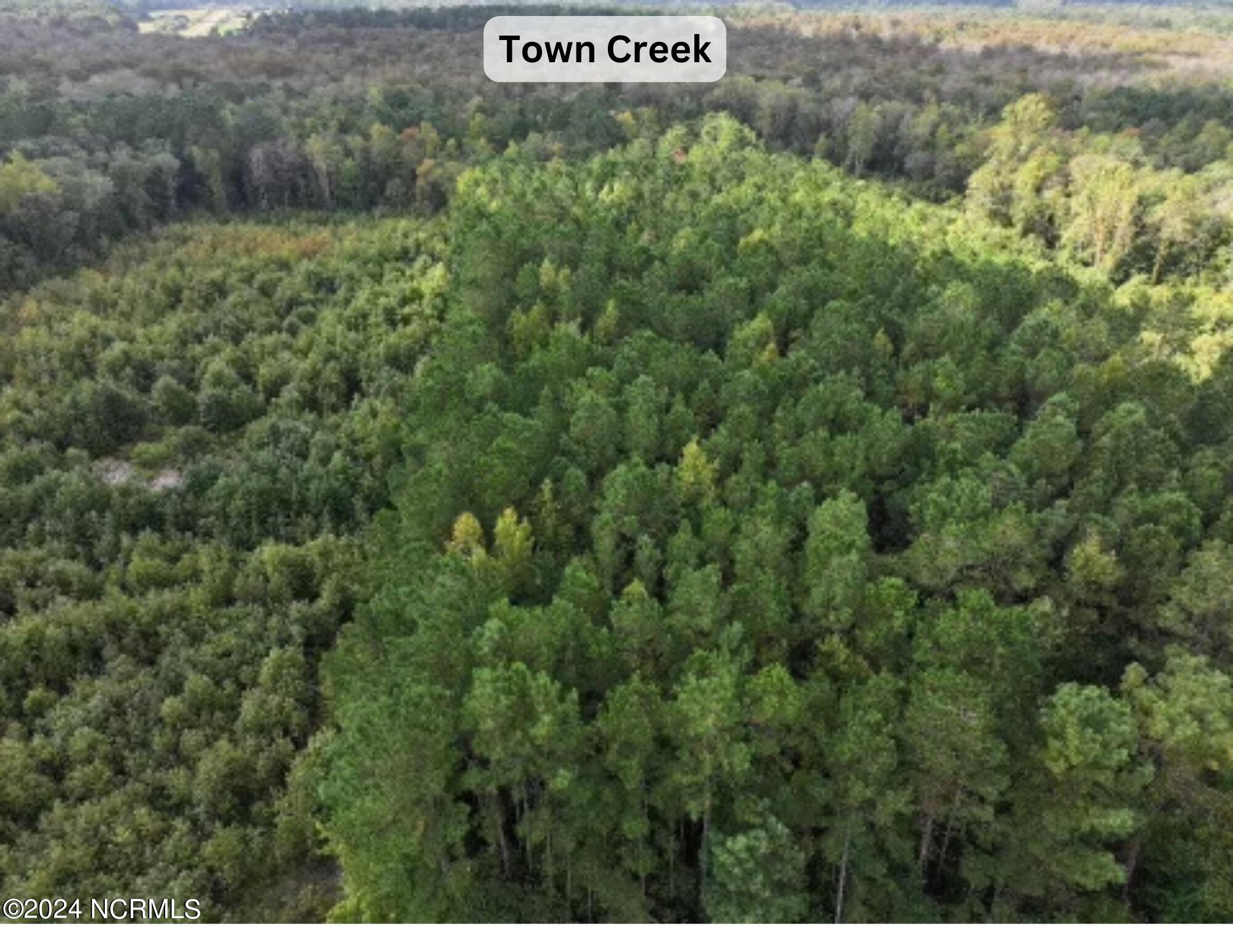 Lot 3 Palmers Branch Drive Property Photo 5