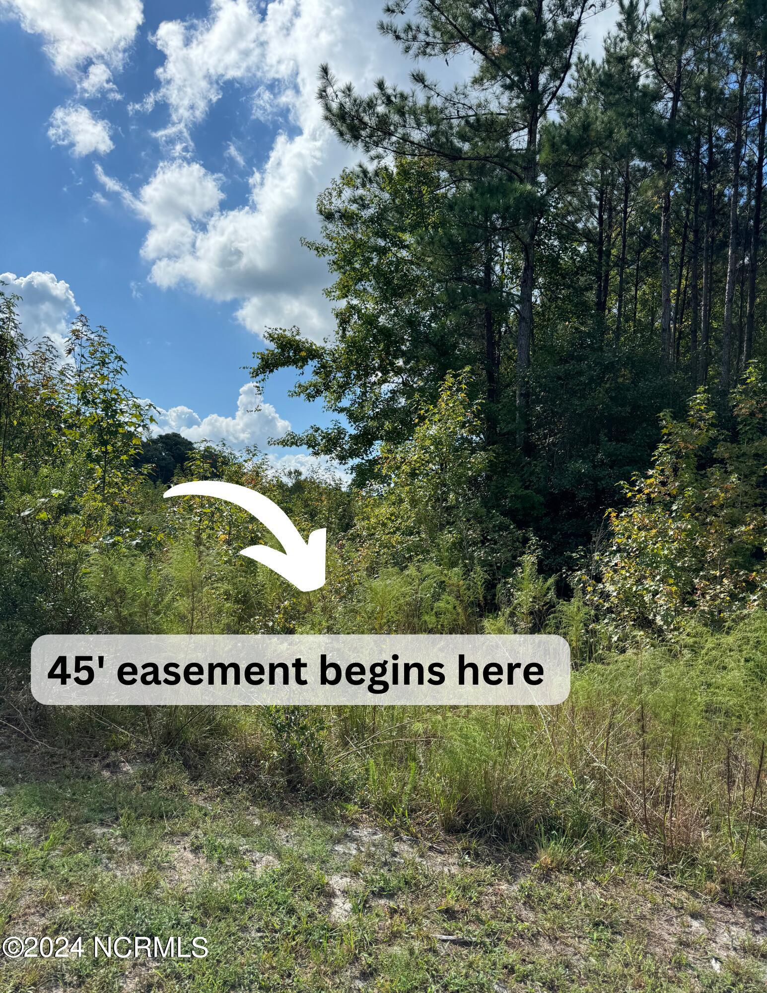 Lot 3 Palmers Branch Drive Property Photo 8