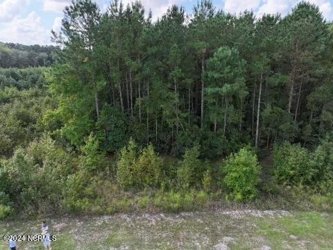 Lot 3 Palmers Branch Drive Property Photo 9