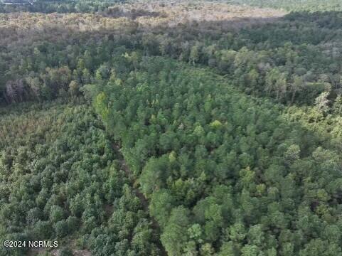 Lot 3 Palmers Branch Drive Property Photo 10