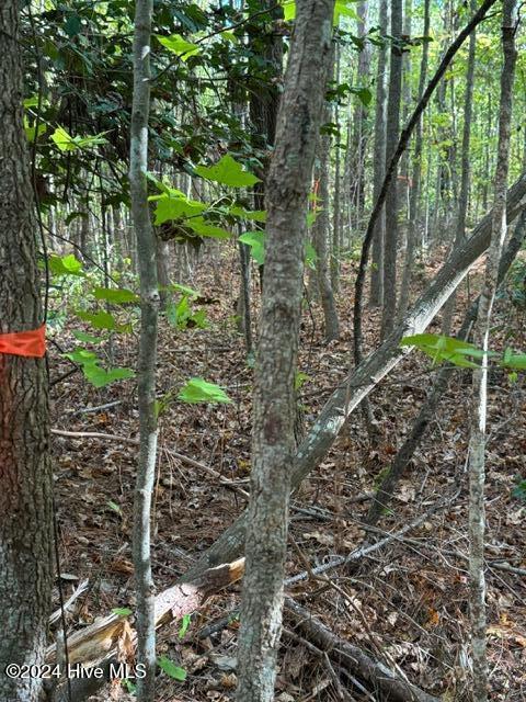 Lot 3 Palmers Branch Drive Property Photo 12