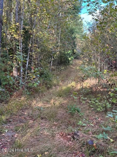Lot 3 Palmers Branch Drive Property Photo 13