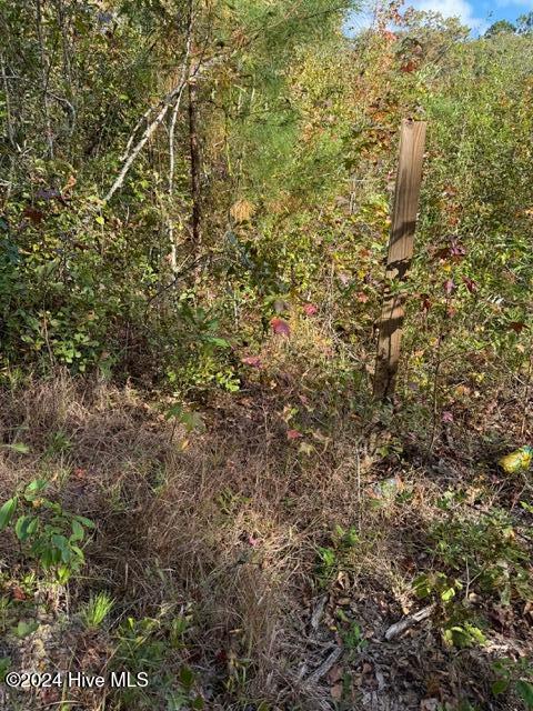 Lot 3 Palmers Branch Drive Property Photo 14