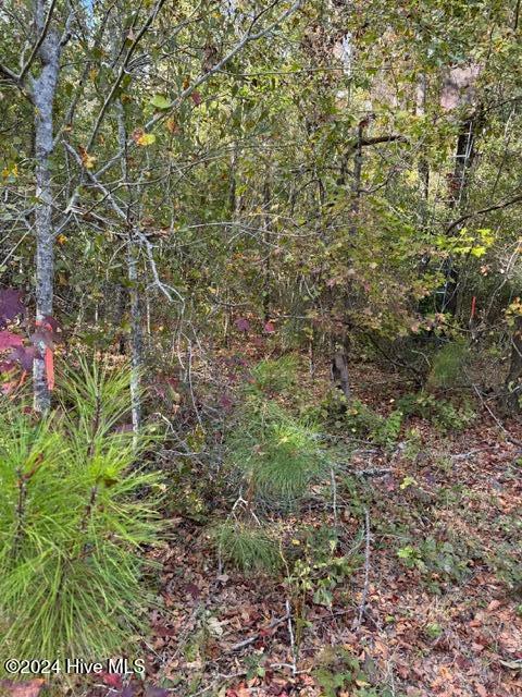Lot 3 Palmers Branch Drive Property Photo 15
