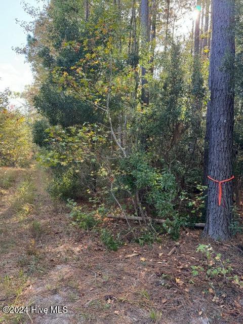 Lot 3 Palmers Branch Drive Property Photo 16