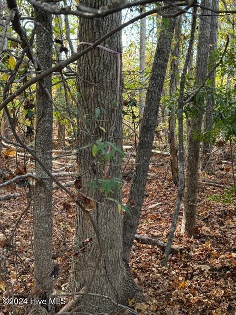 Lot 3 Palmers Branch Drive Property Photo 17