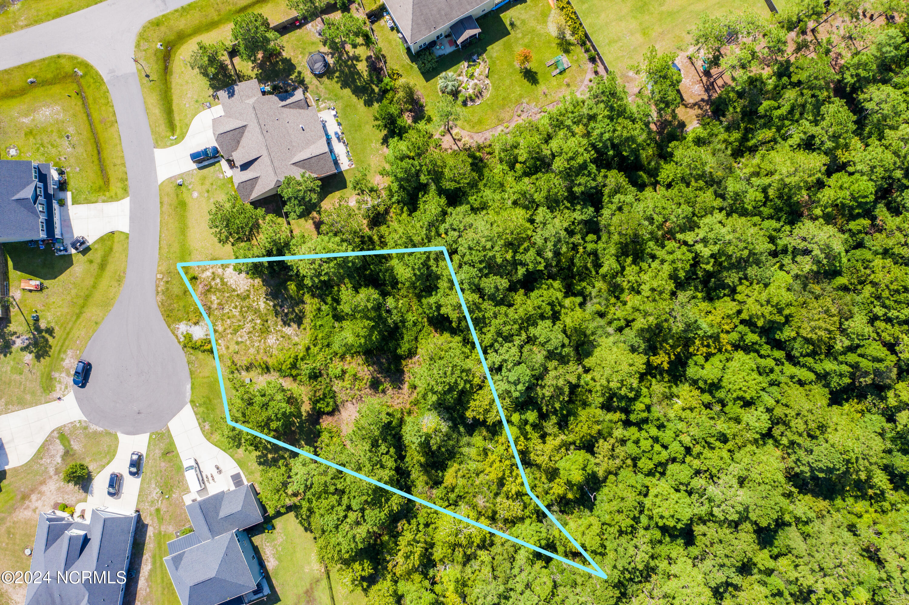 603 Pennywort Court Property Photo 1