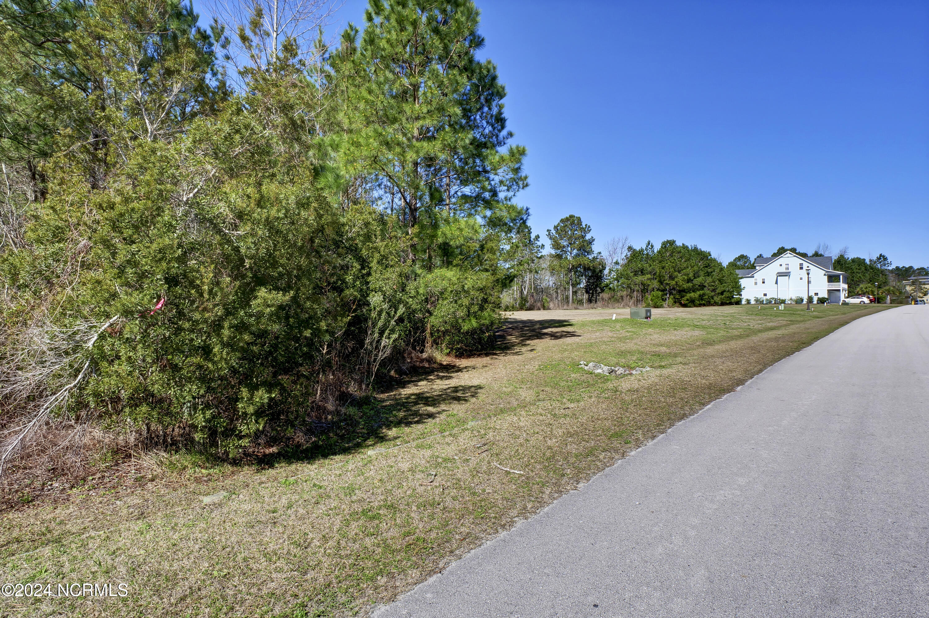 246 Kings Creek Crossing Property Photo 15