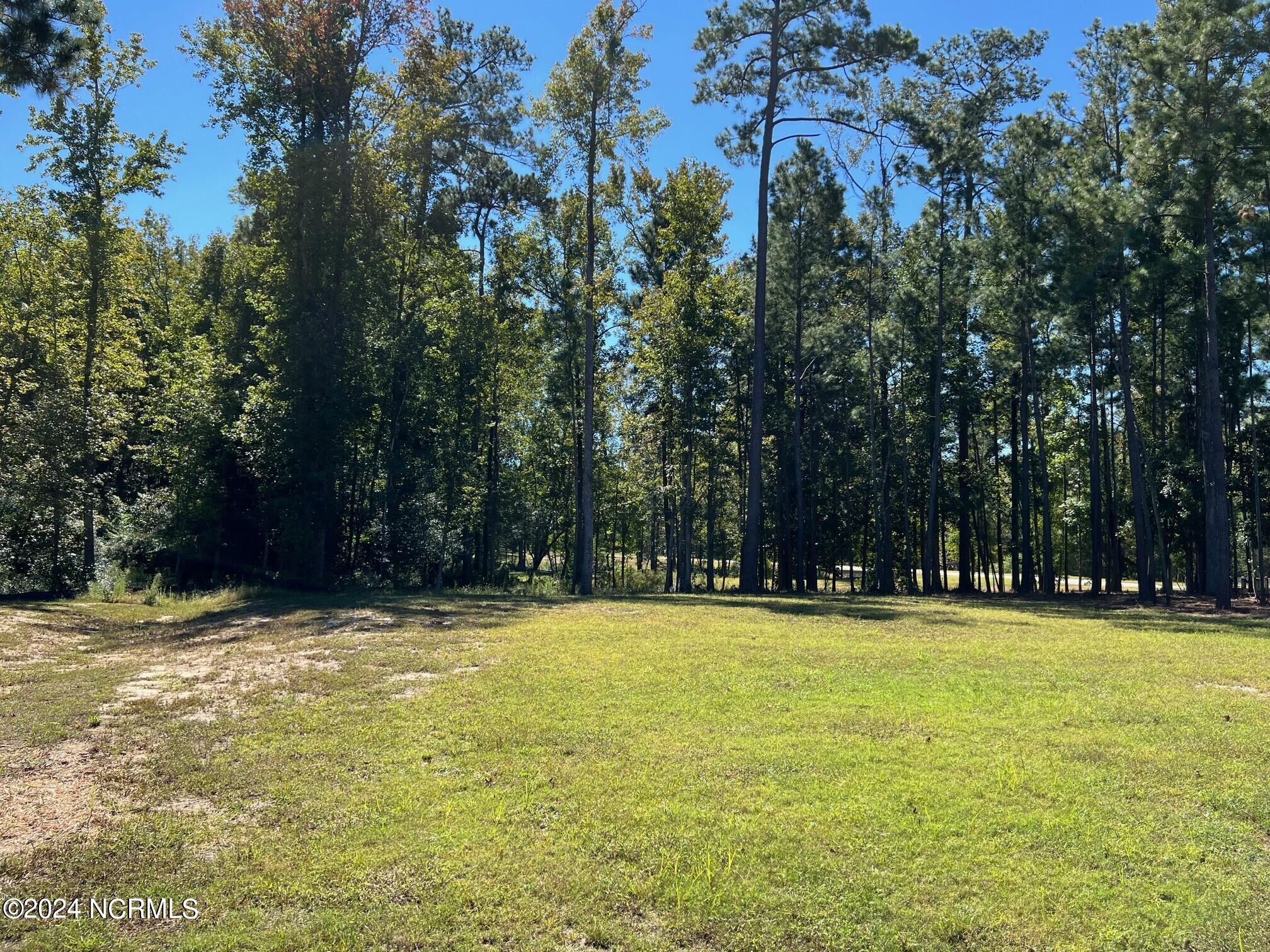 7104 Abernathy Court Property Photo 4