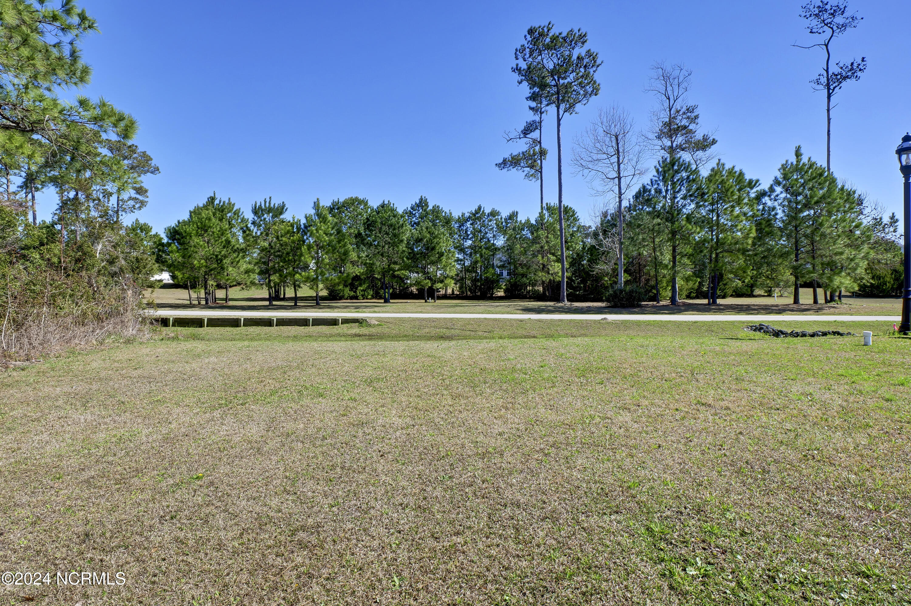248 Kings Creek Crossing Property Photo 8