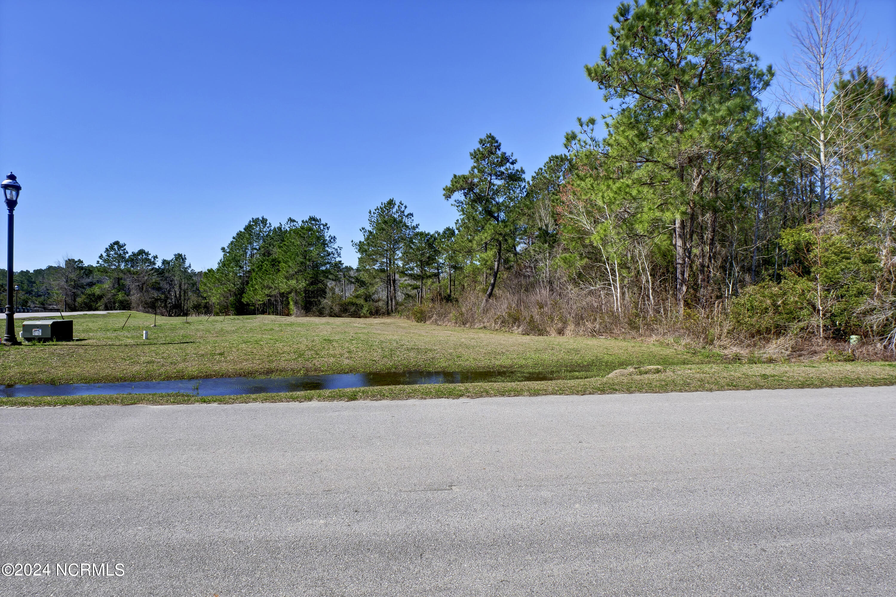 248 Kings Creek Crossing Property Photo 10