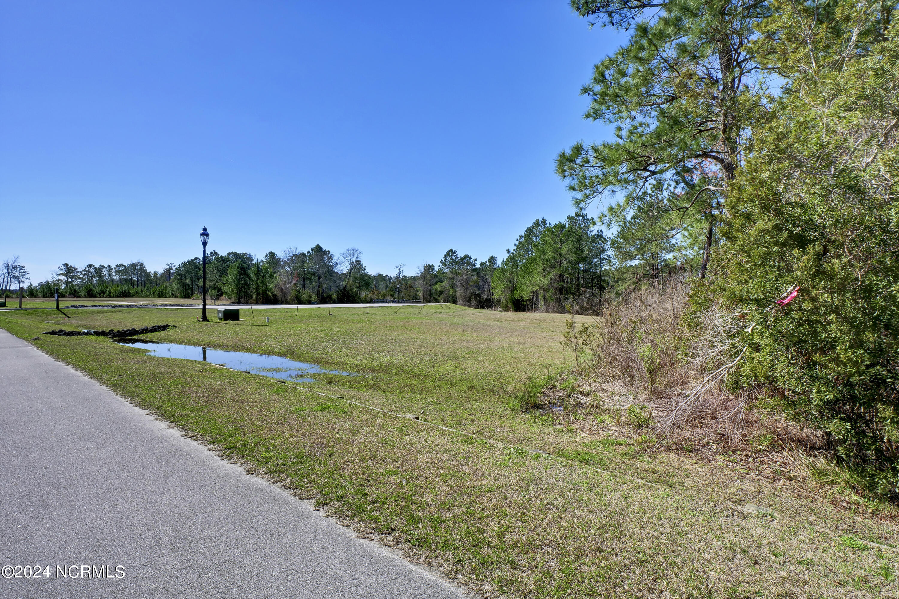 248 Kings Creek Crossing Property Photo 11