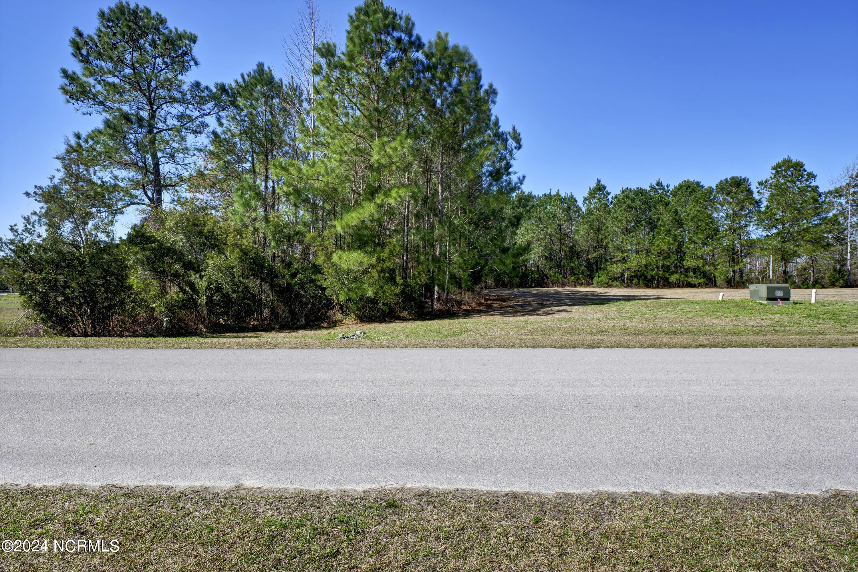 248 Kings Creek Crossing Property Photo 14