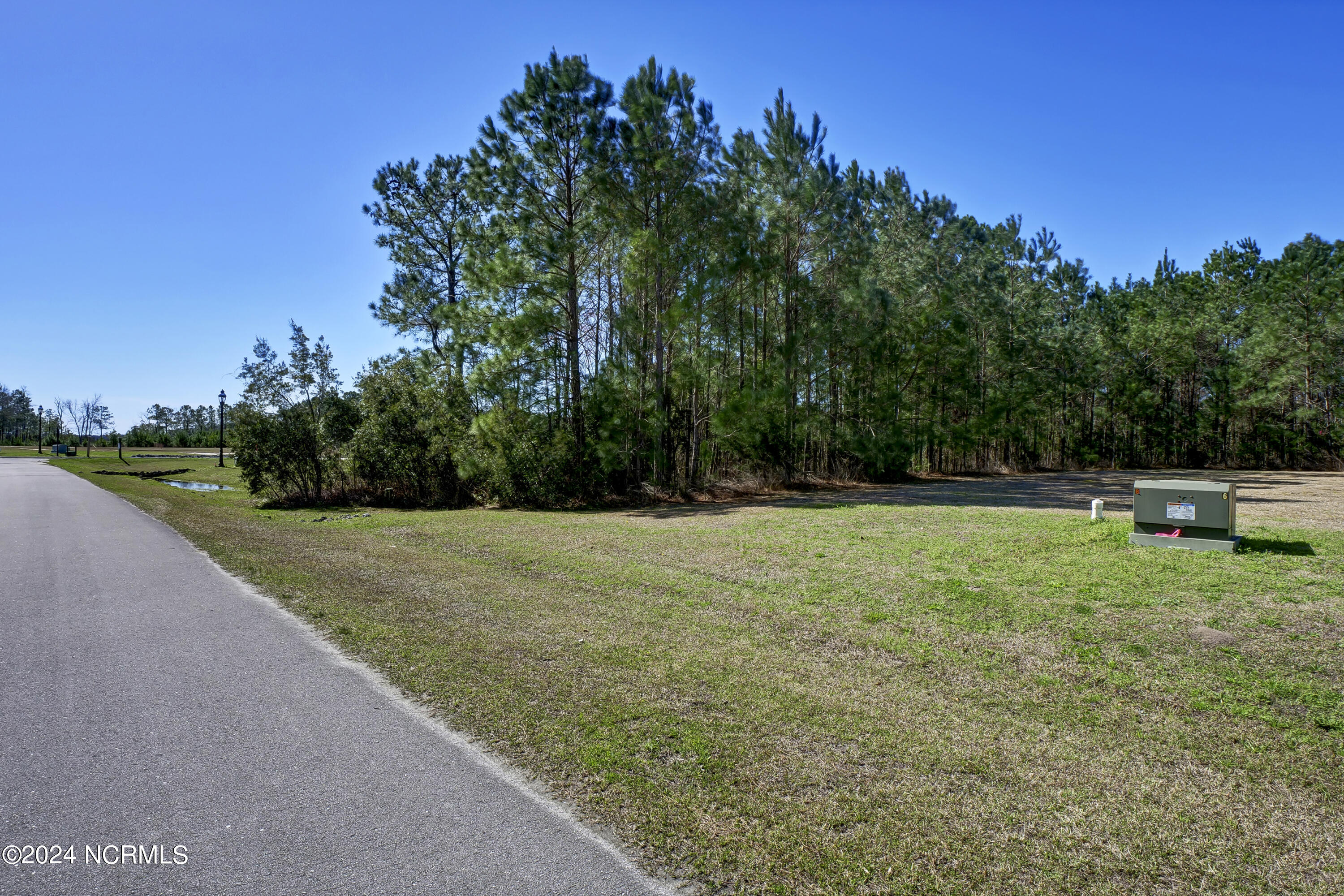 248 Kings Creek Crossing Property Photo 15