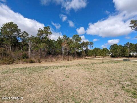 248 Kings Creek Crossing Property Photo 16