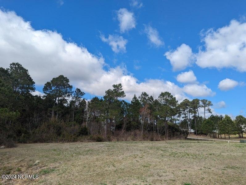 248 Kings Creek Crossing Property Photo 17