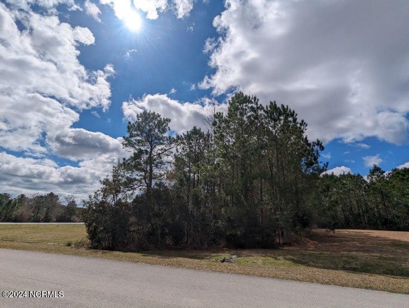 248 Kings Creek Crossing Property Photo 19