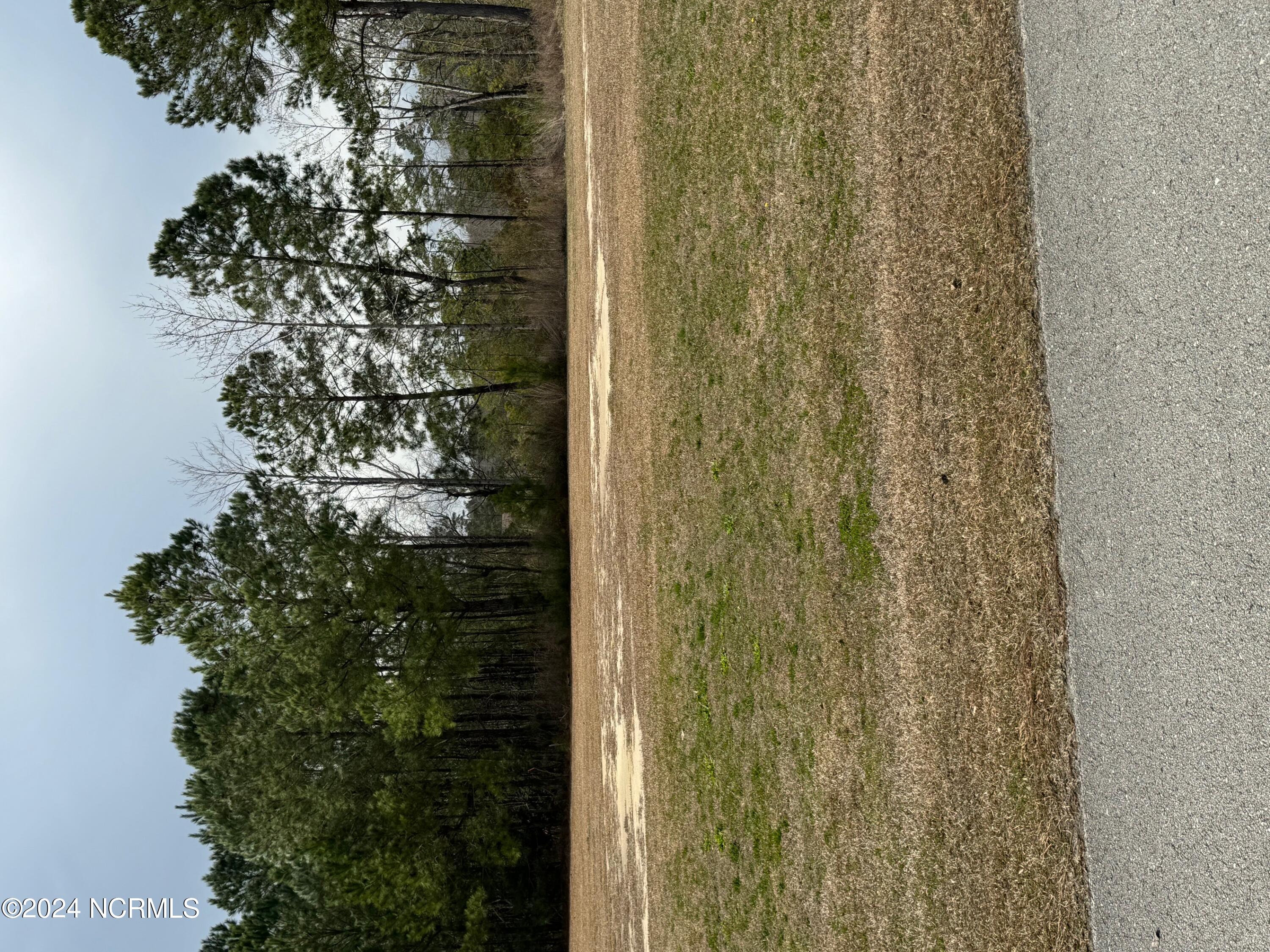 248 Kings Creek Crossing Property Photo 25