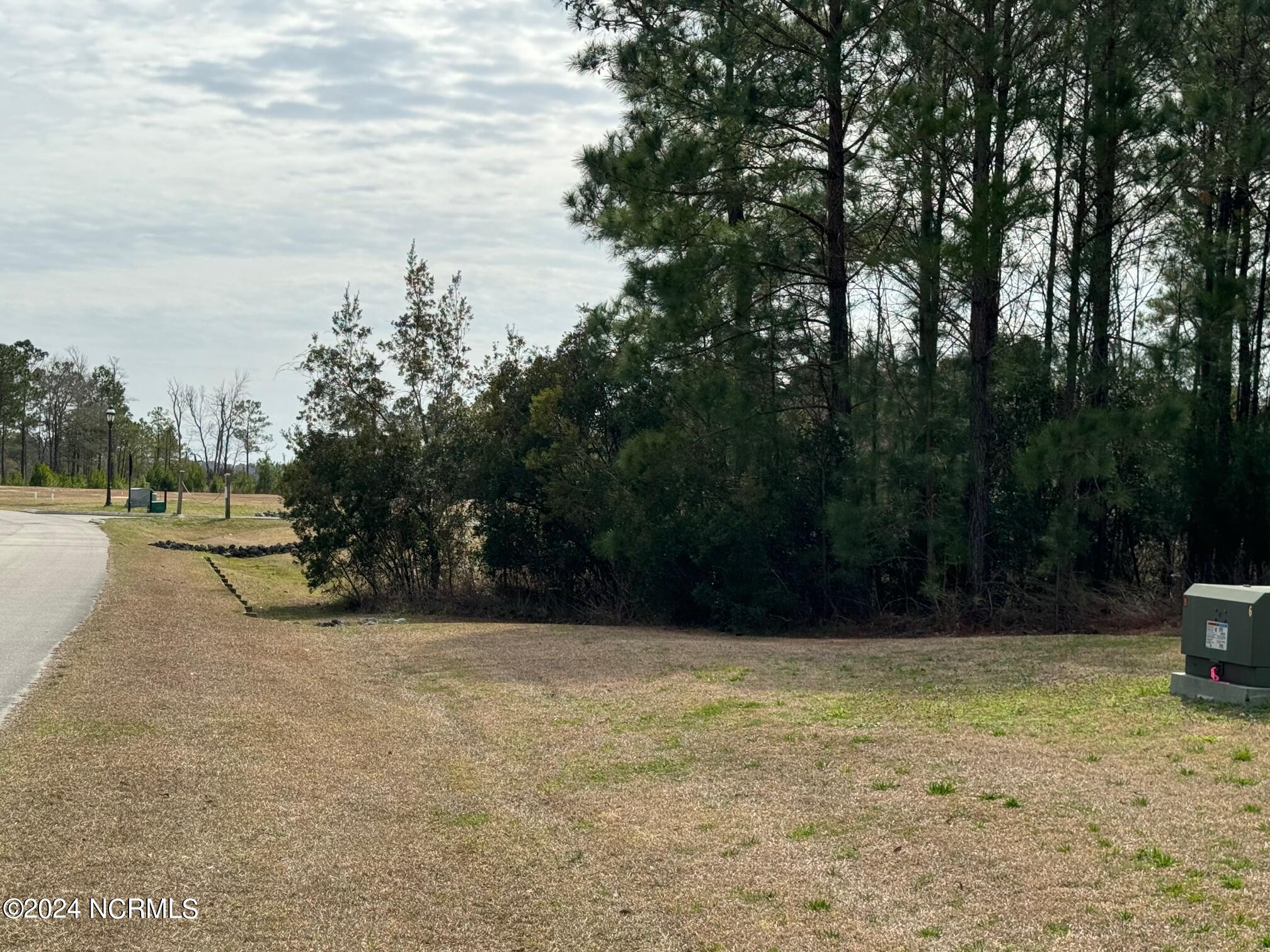 248 Kings Creek Crossing Property Photo 27