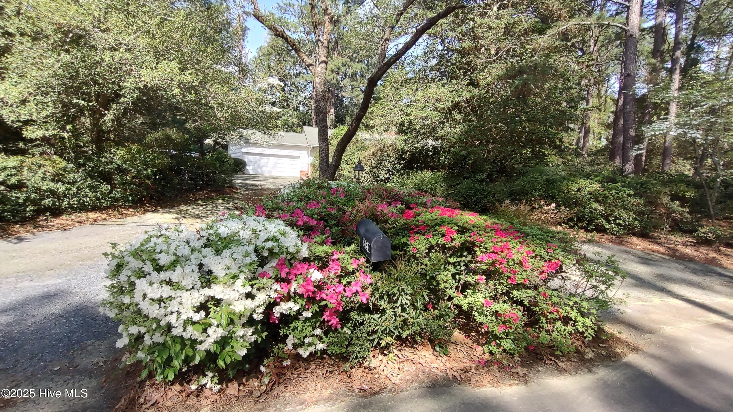 230 Pinegrove Road Property Photo 3