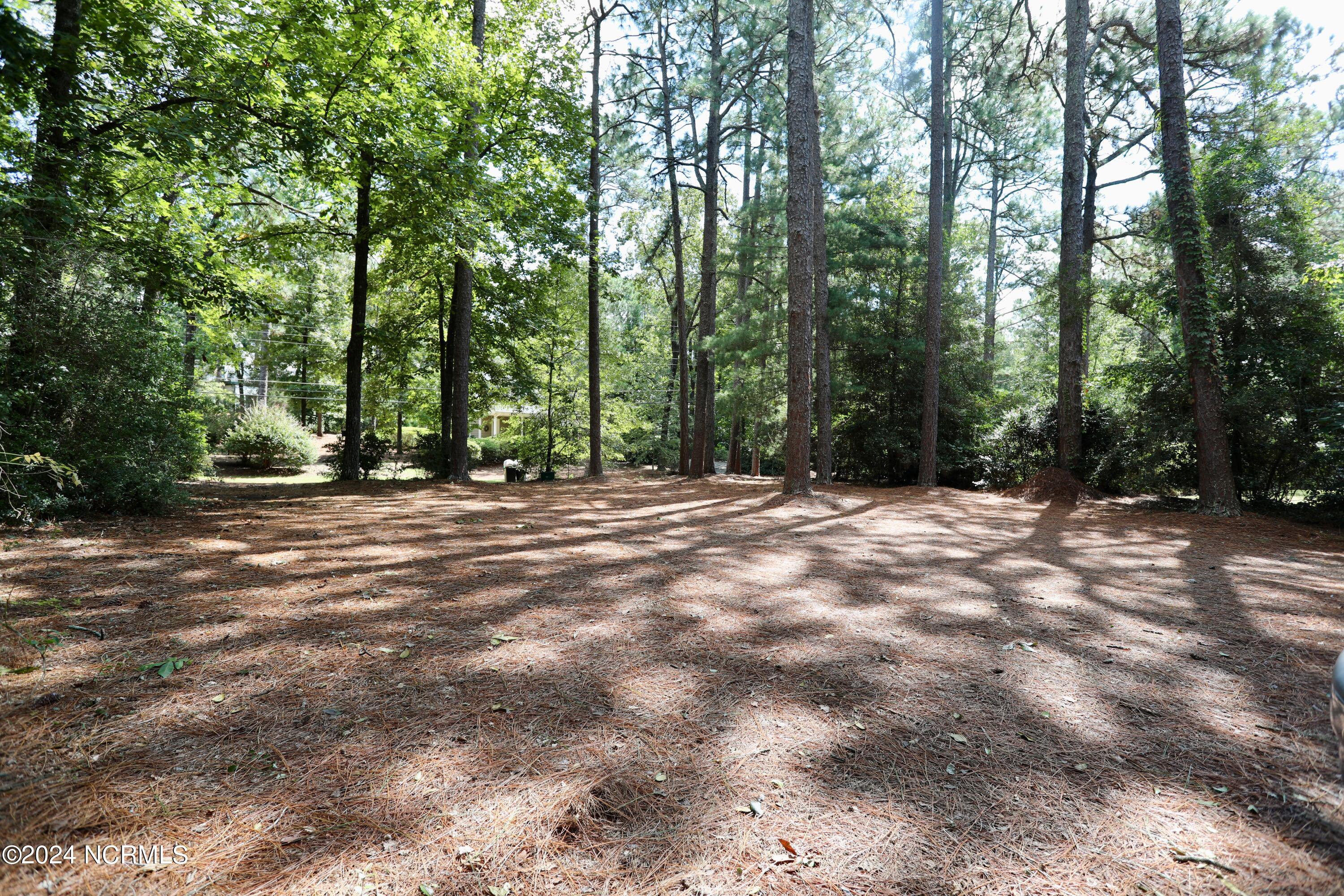 230 Pinegrove Road Property Photo 38