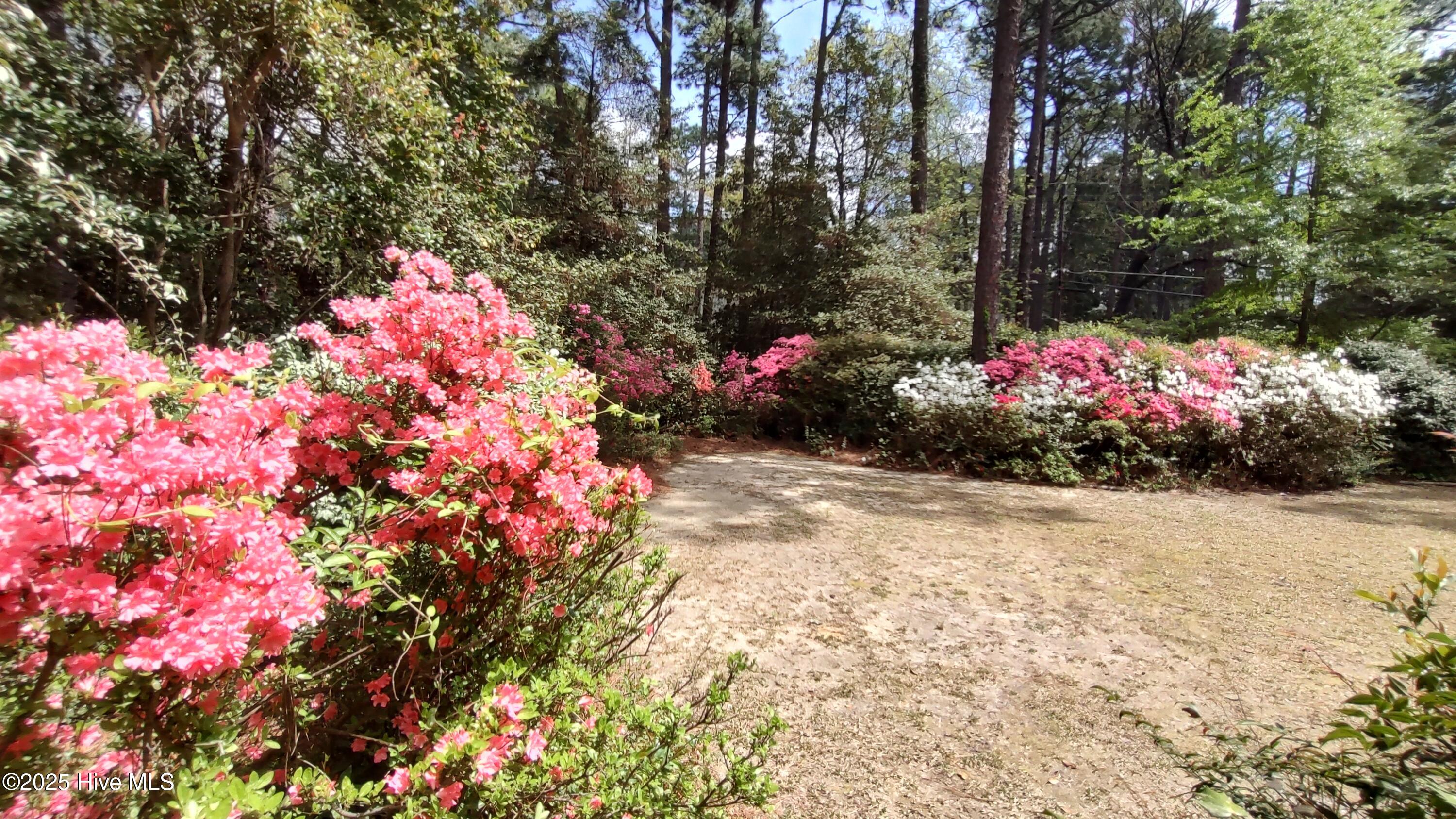 230 Pinegrove Road Property Photo 43