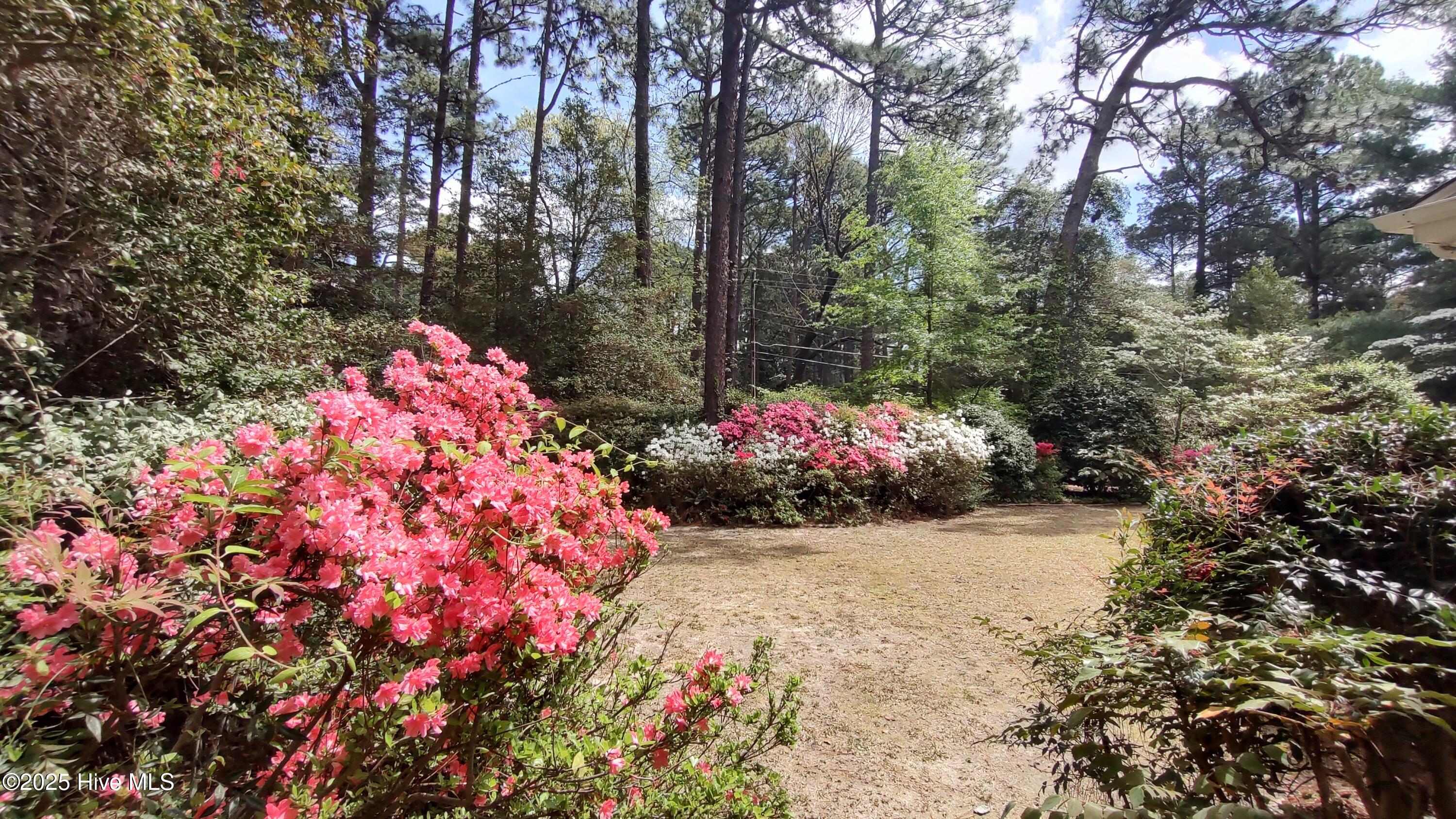 230 Pinegrove Road Property Photo 44