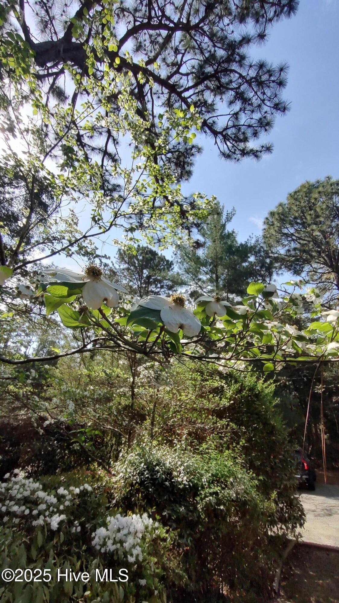 230 Pinegrove Road Property Photo 54