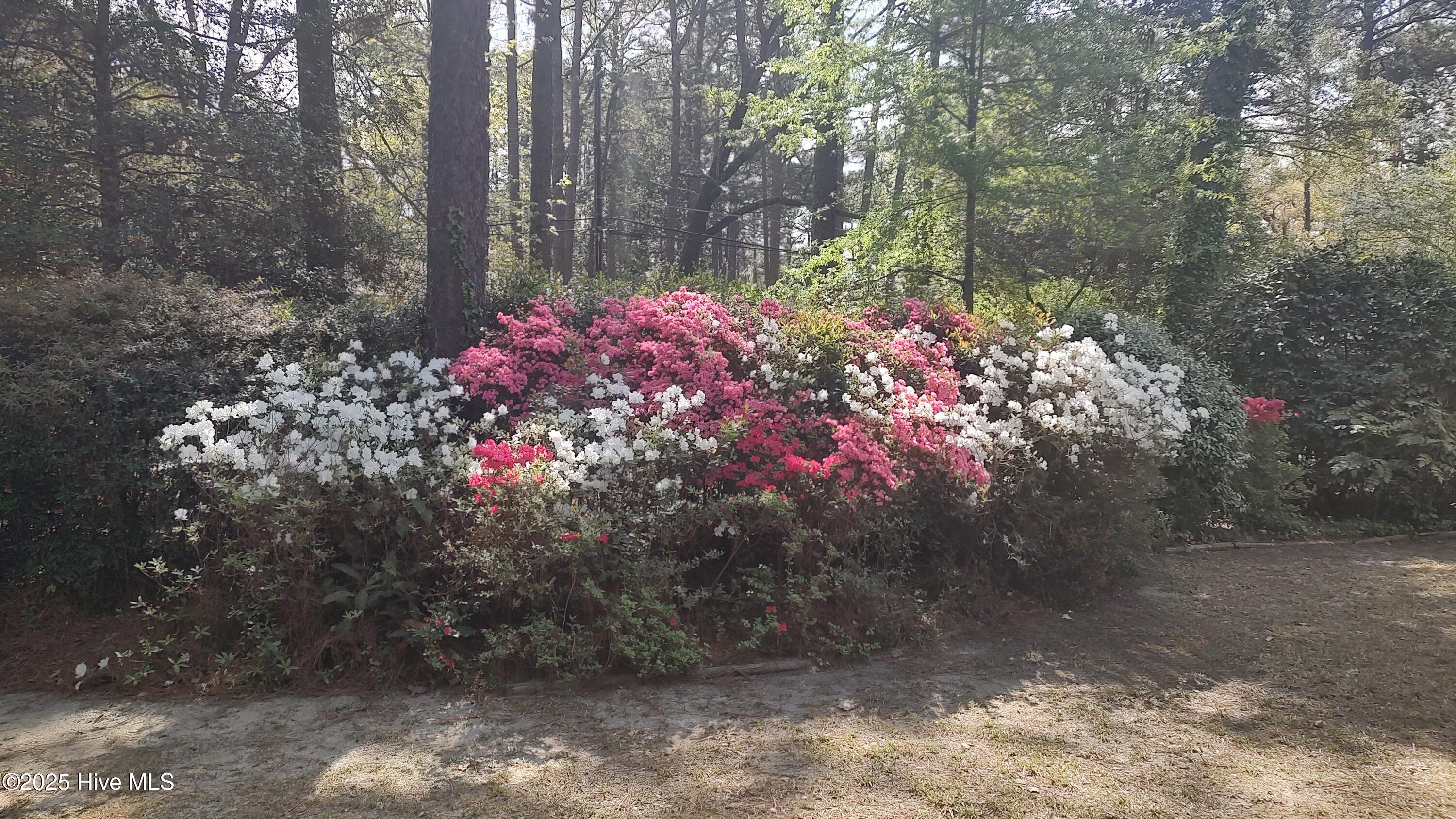 230 Pinegrove Road Property Photo 58