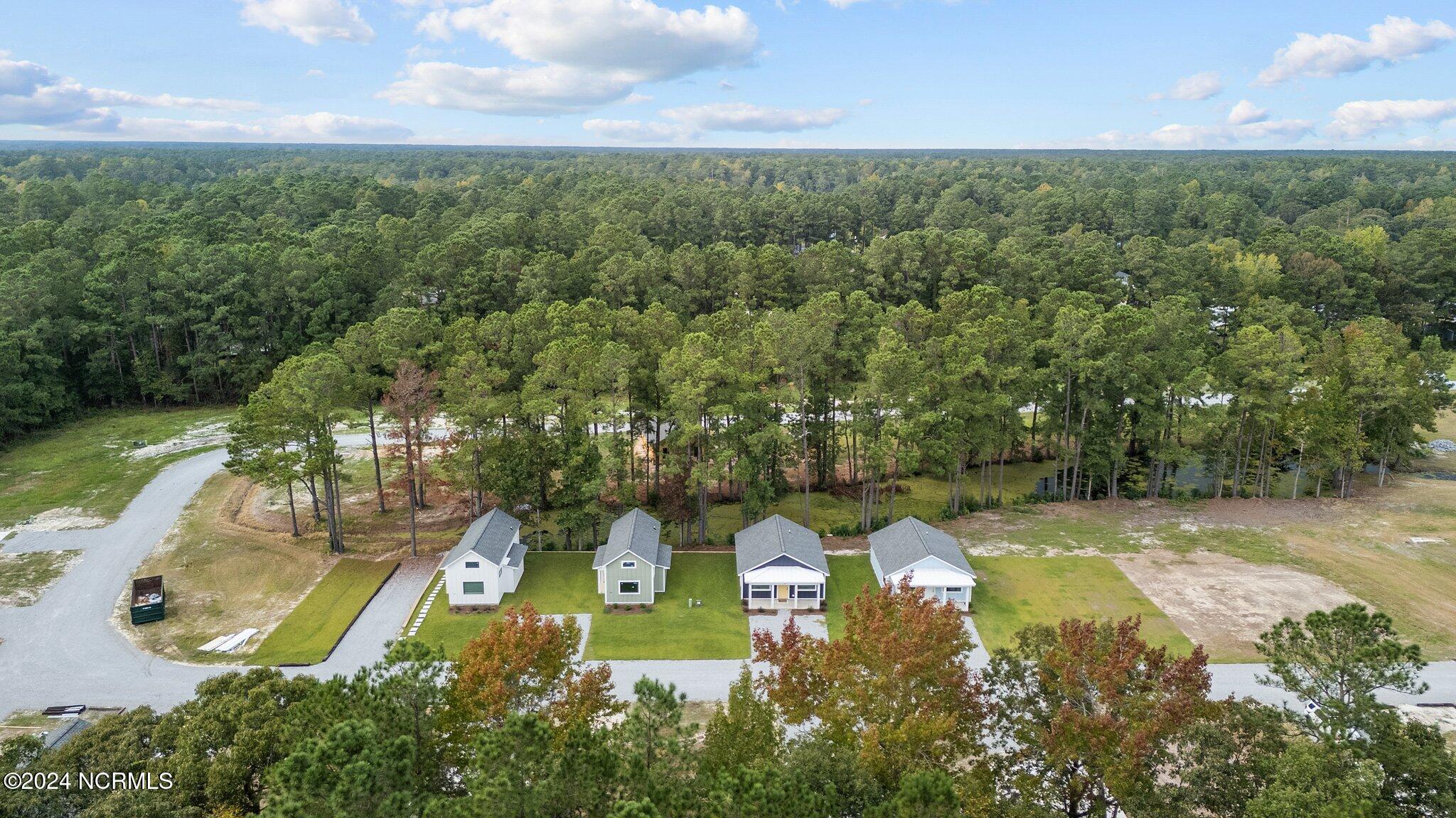 123 Long Pond Loop Property Photo 41
