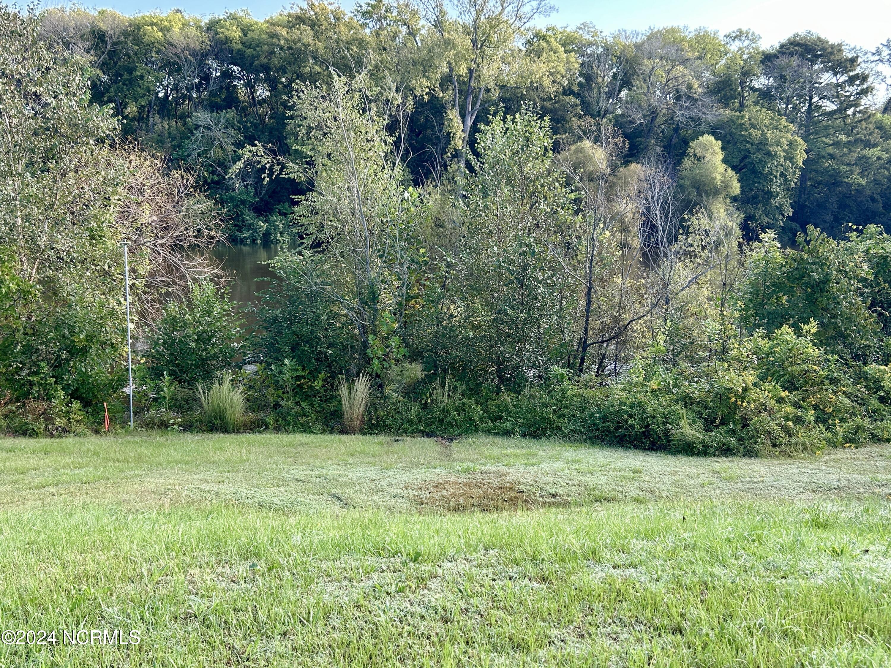 281 Old Sr 1801 Property Photo 6