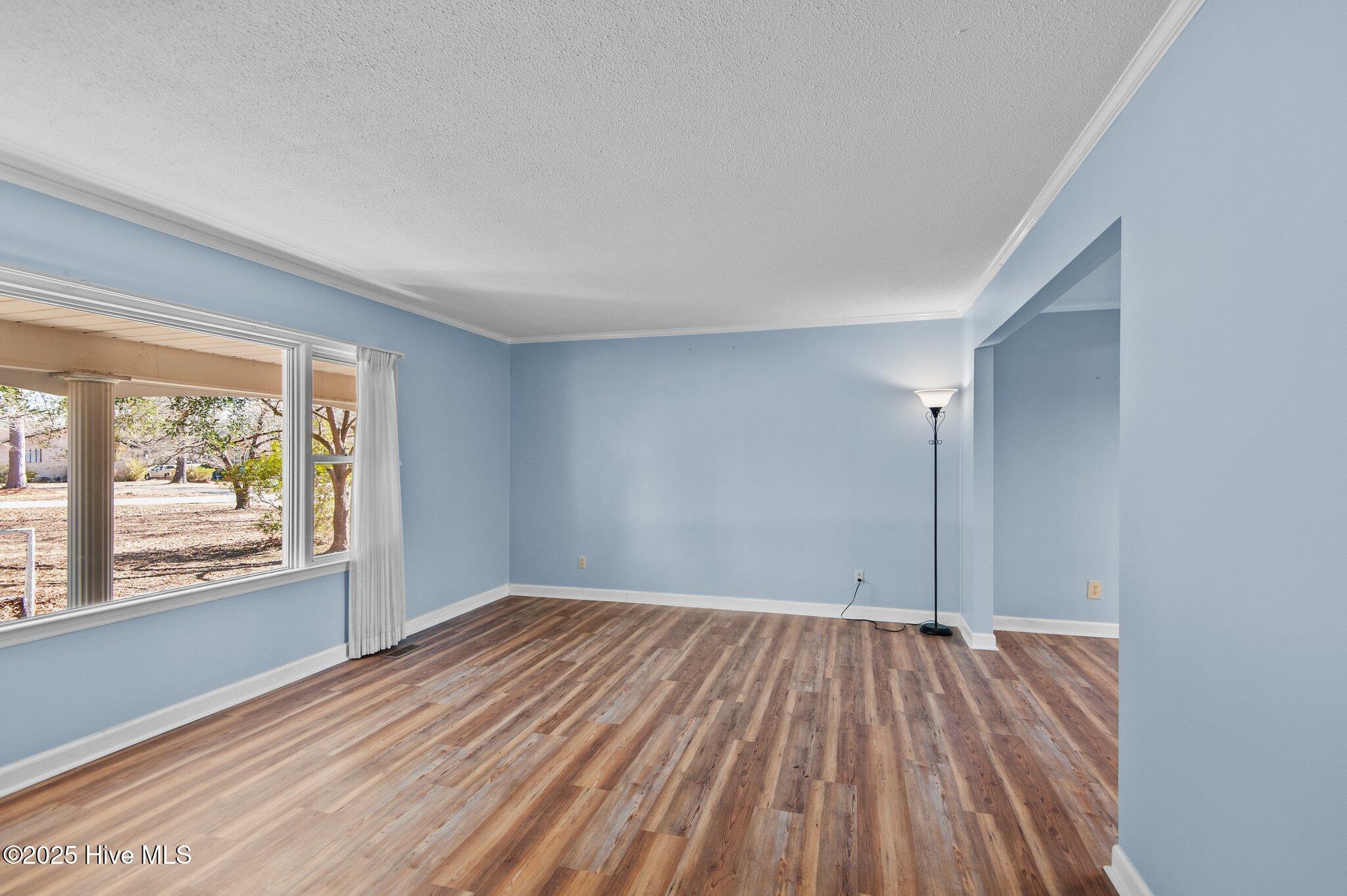 217 Randomwood Lane Property Photo 4