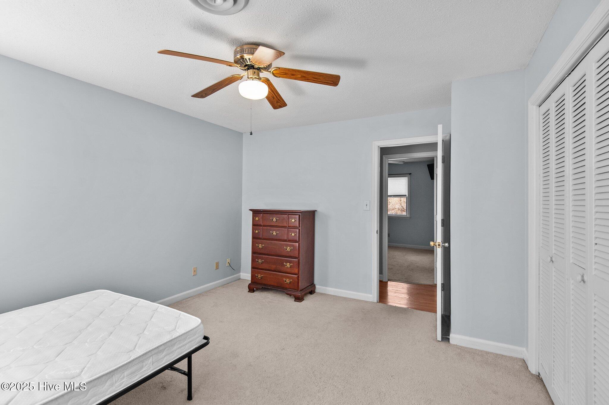217 Randomwood Lane Property Photo 22