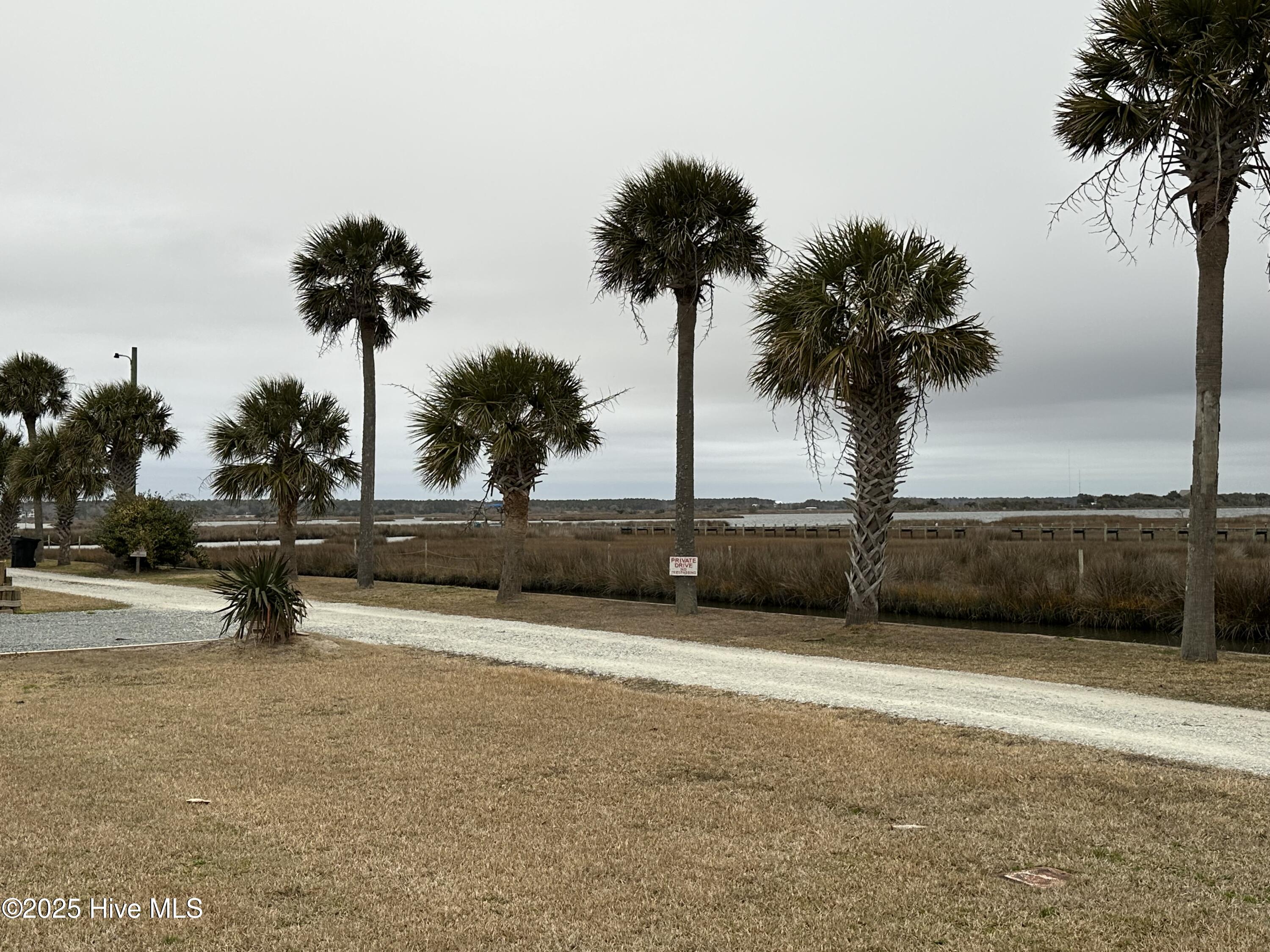 107 Phil Harris Lane Property Photo 3
