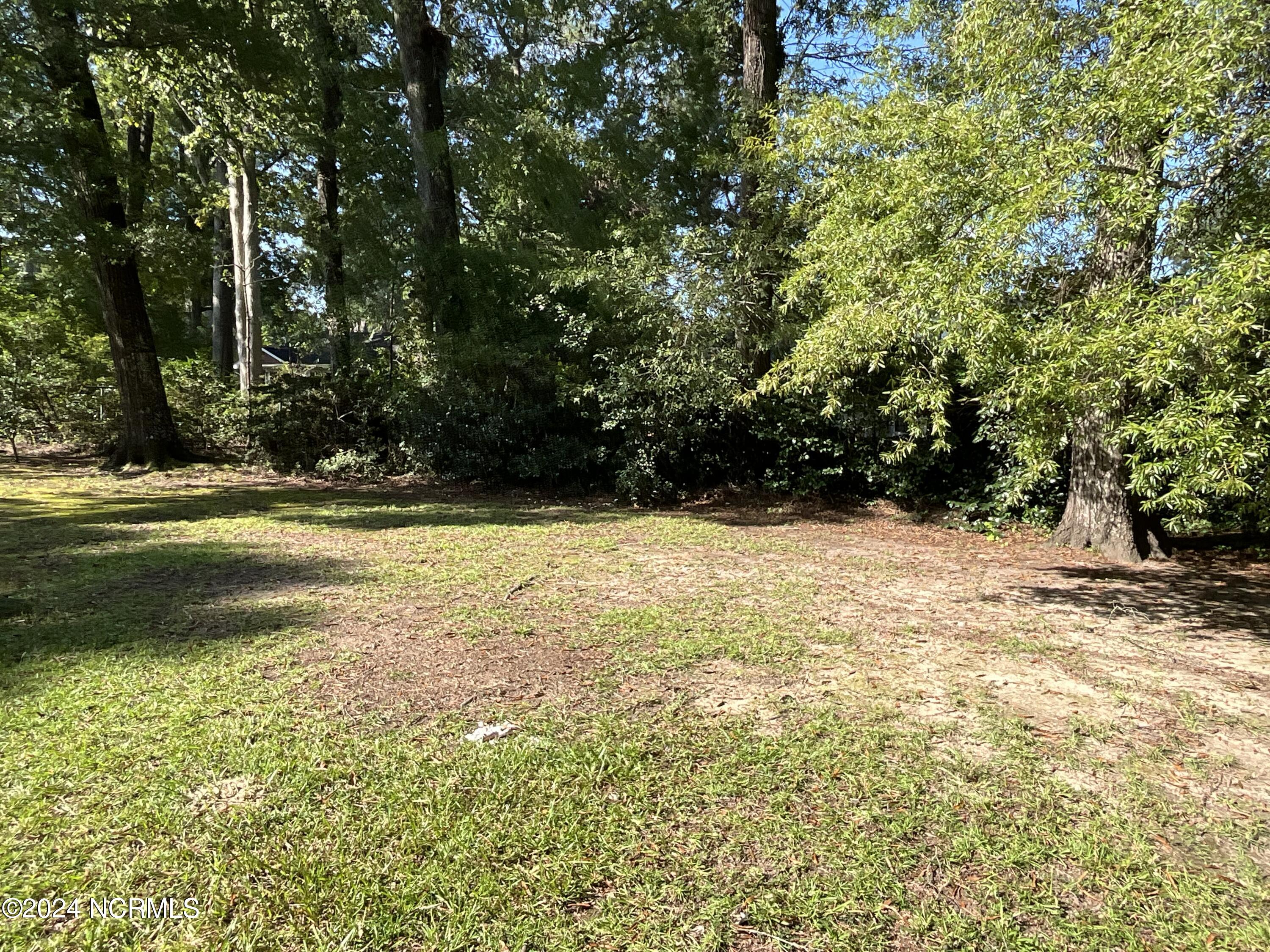 306 Granville Drive Property Photo 53