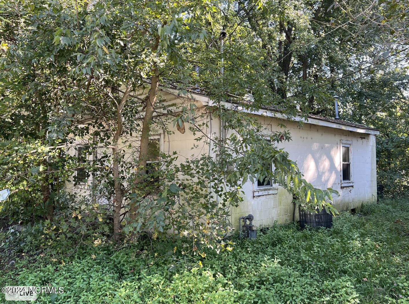 1116 Phillips Street Property Photo 9