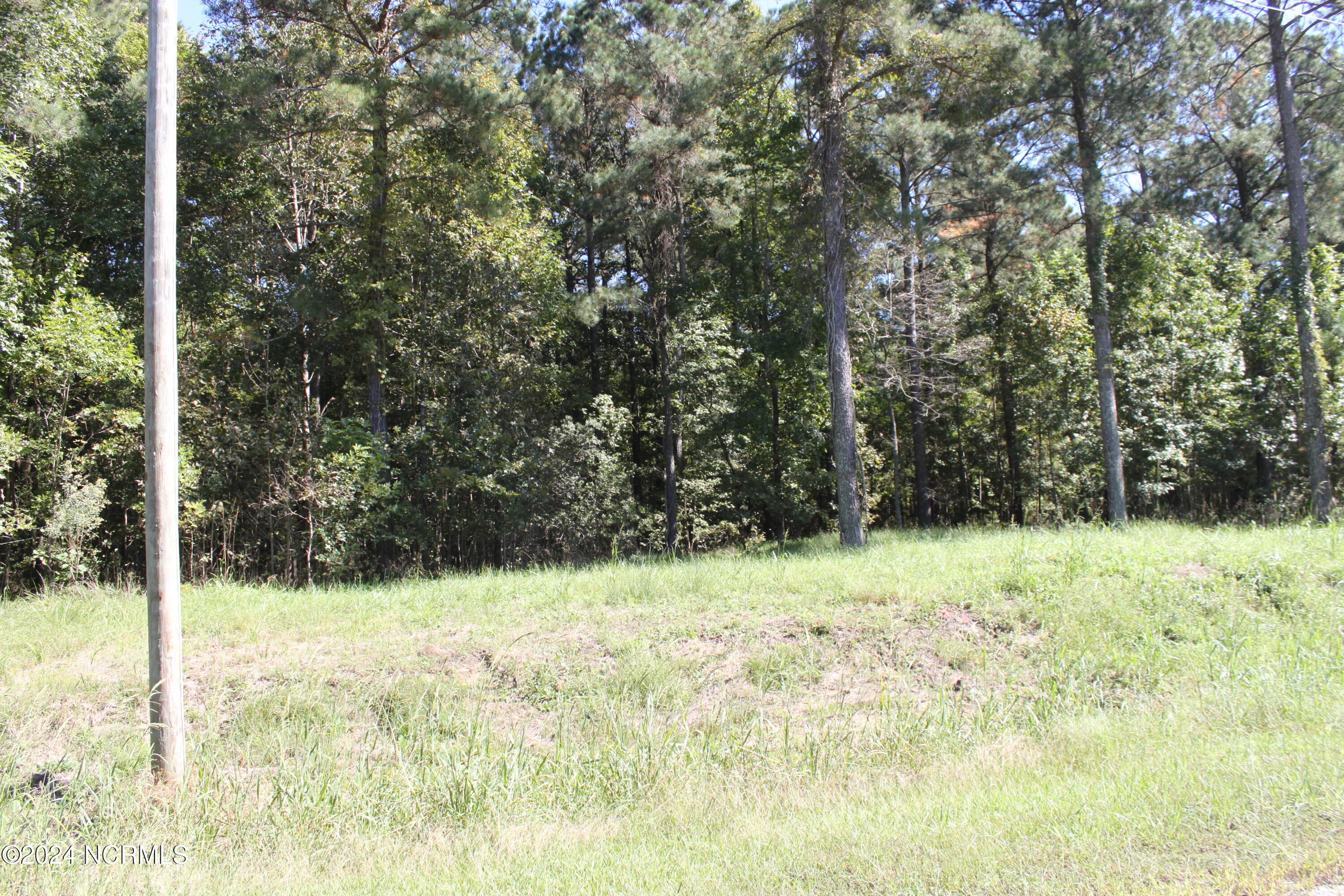 412 Batts Island Road Property Photo 2