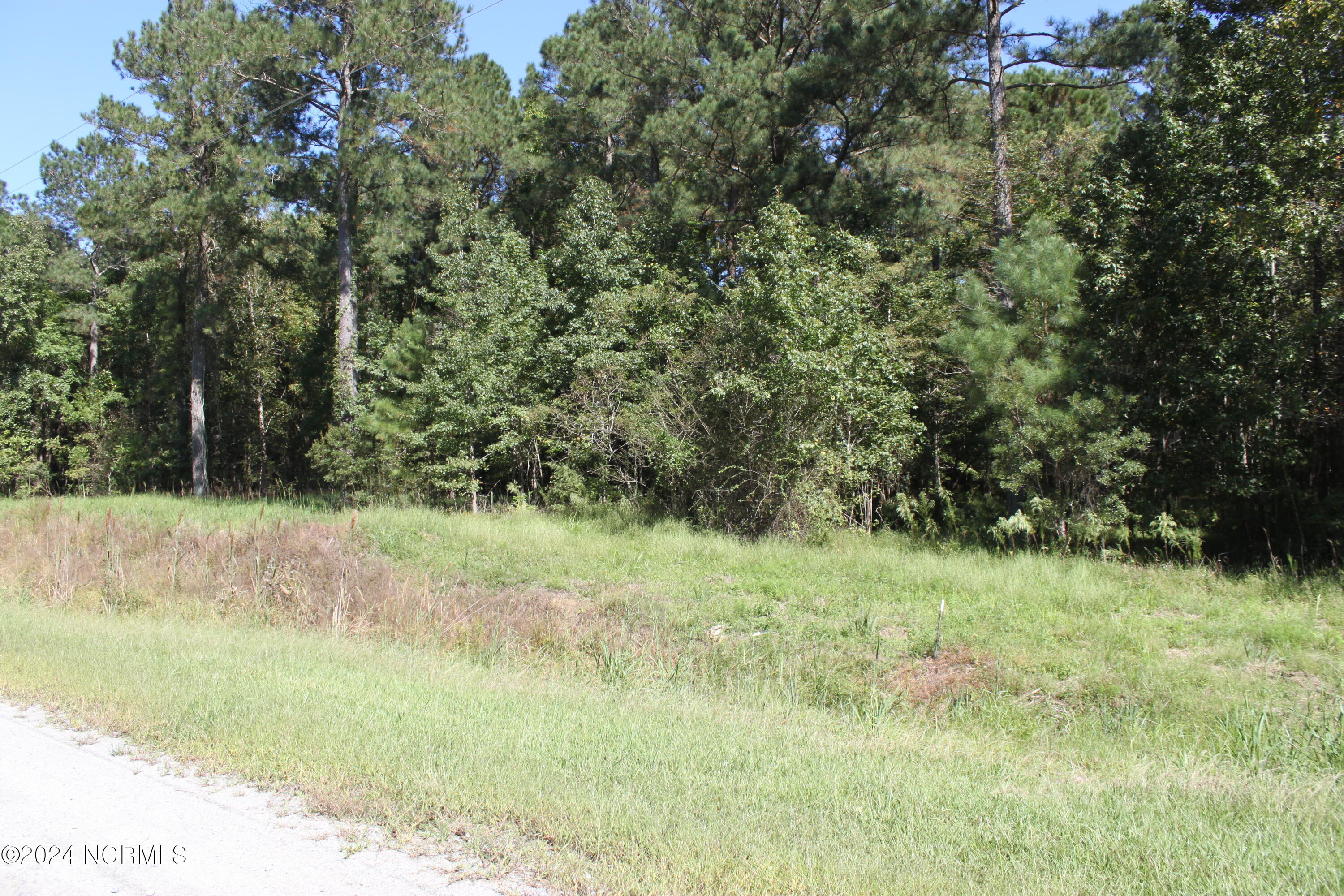 412 Batts Island Road Property Photo 5