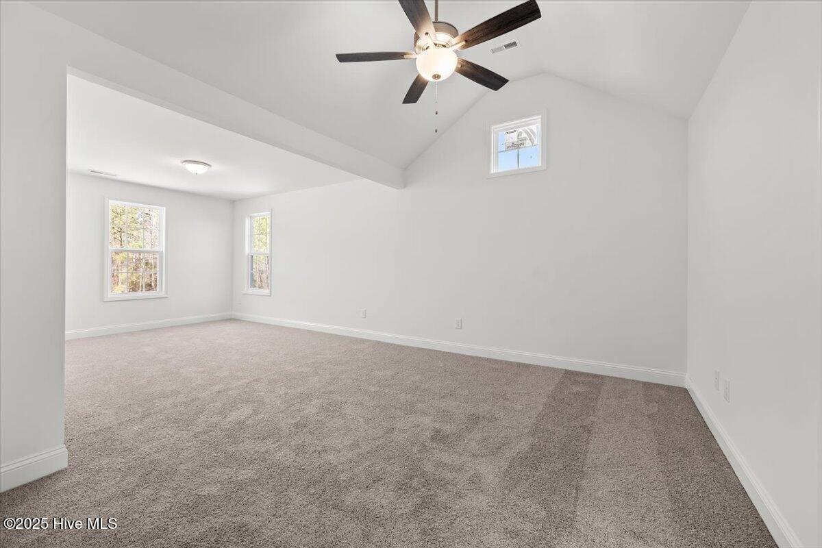 732 Burley Oak Drive Property Photo 20