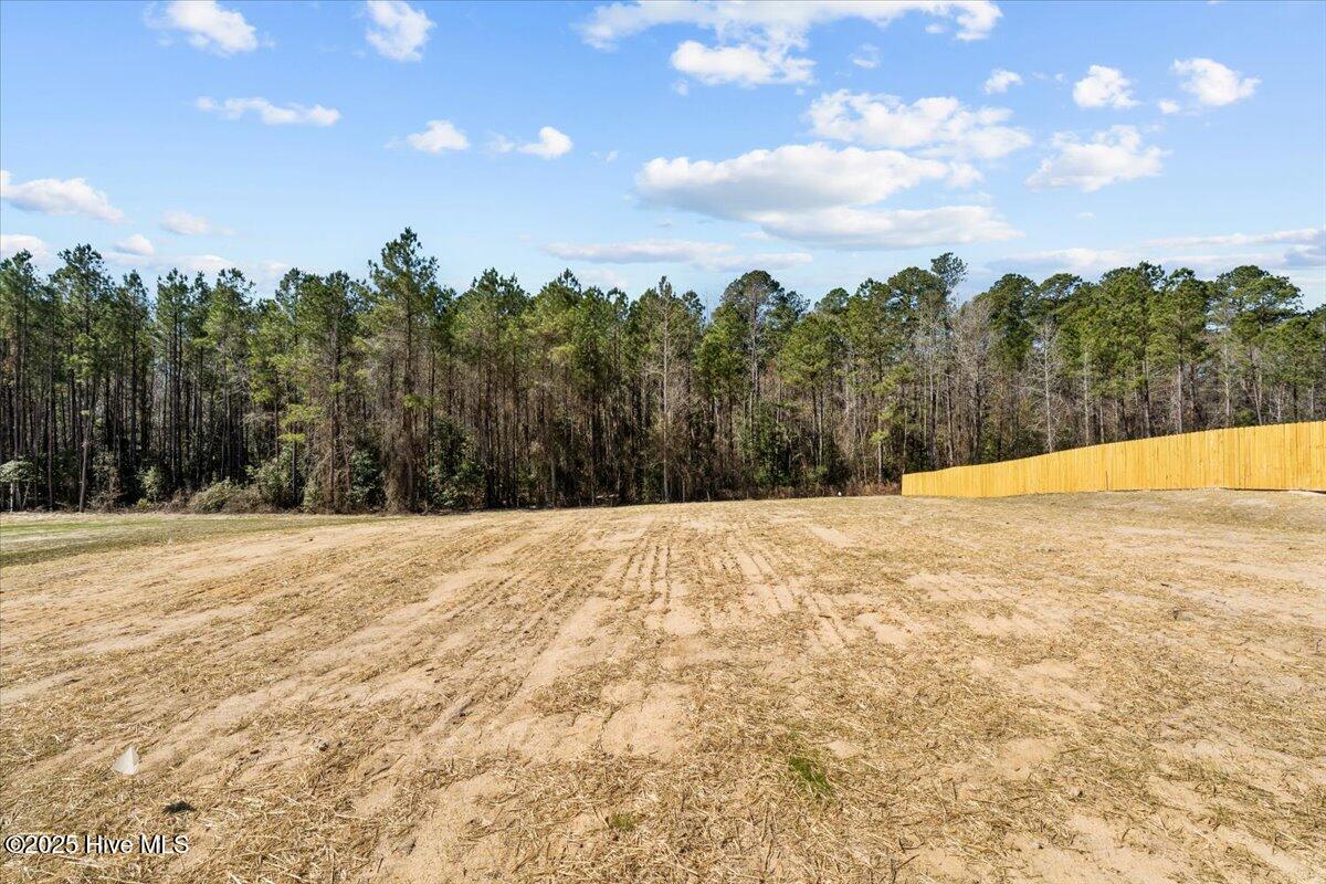 732 Burley Oak Drive Property Photo 34