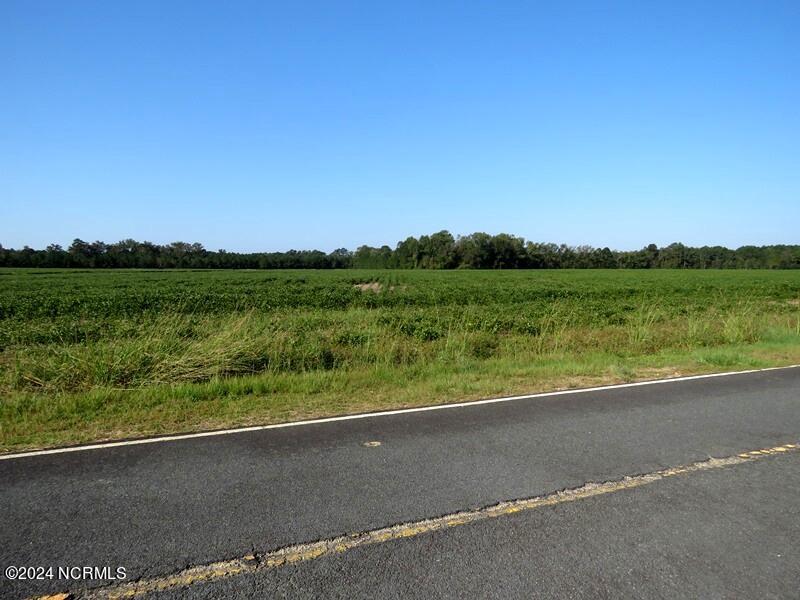 Tbd Cowpen Swamp Road Property Photo 3