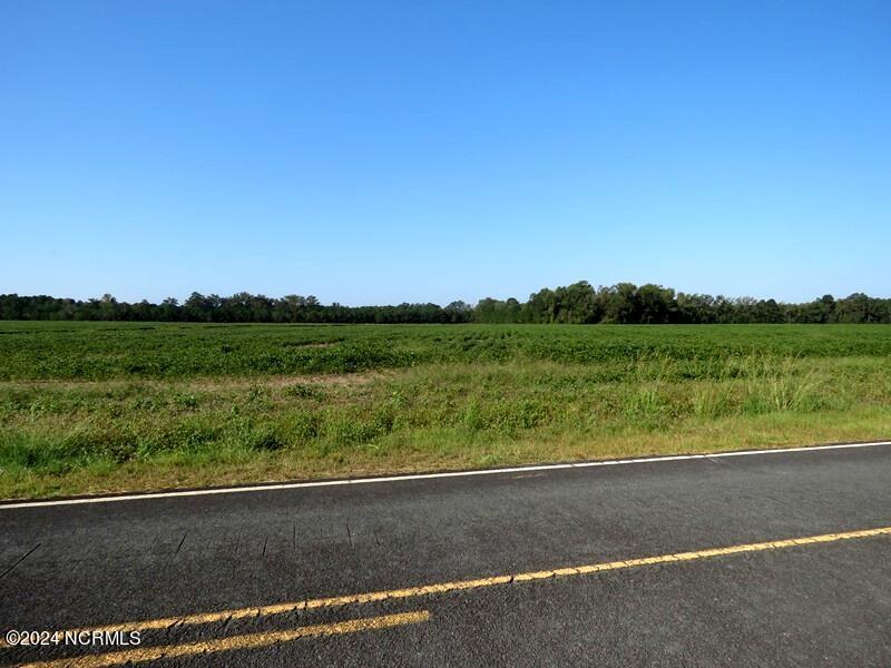 Tbd Cowpen Swamp Road Property Photo 3