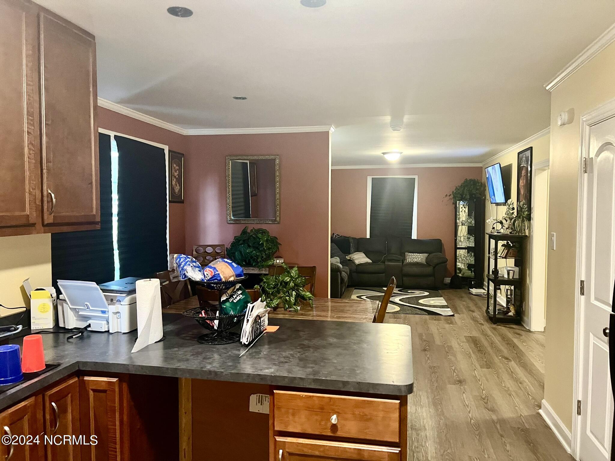 911 Rudolph Street Property Photo 7