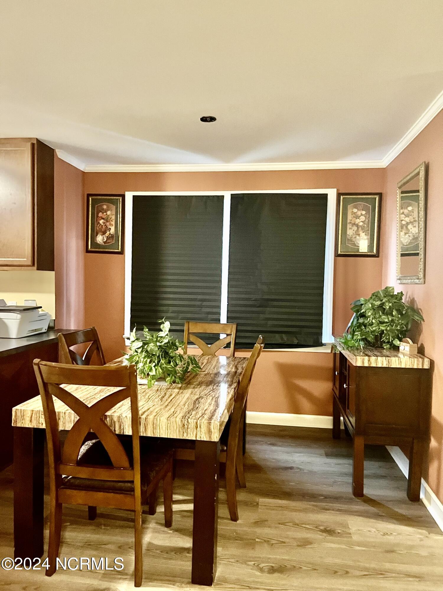 911 Rudolph Street Property Photo 9