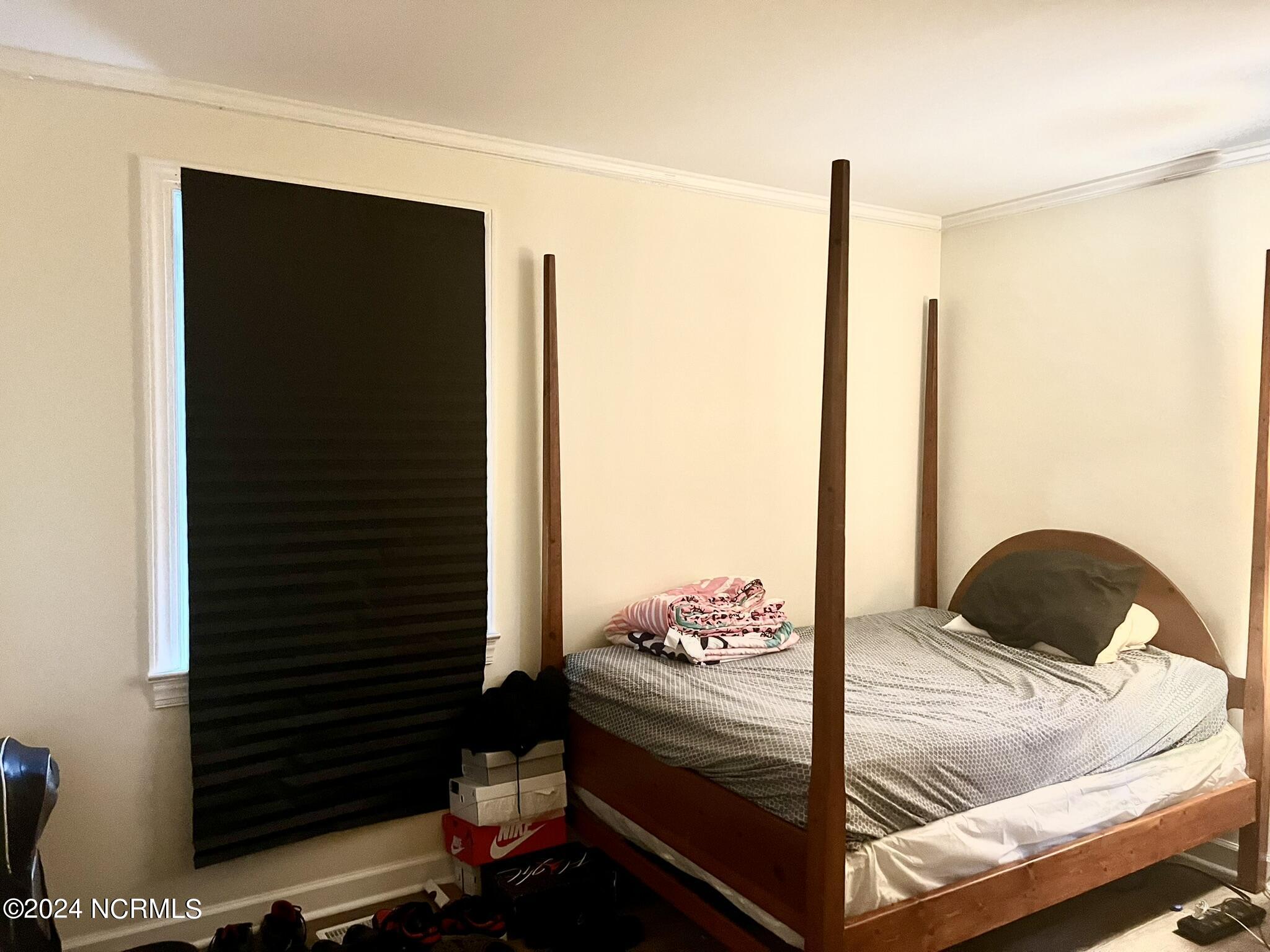 911 Rudolph Street Property Photo 19