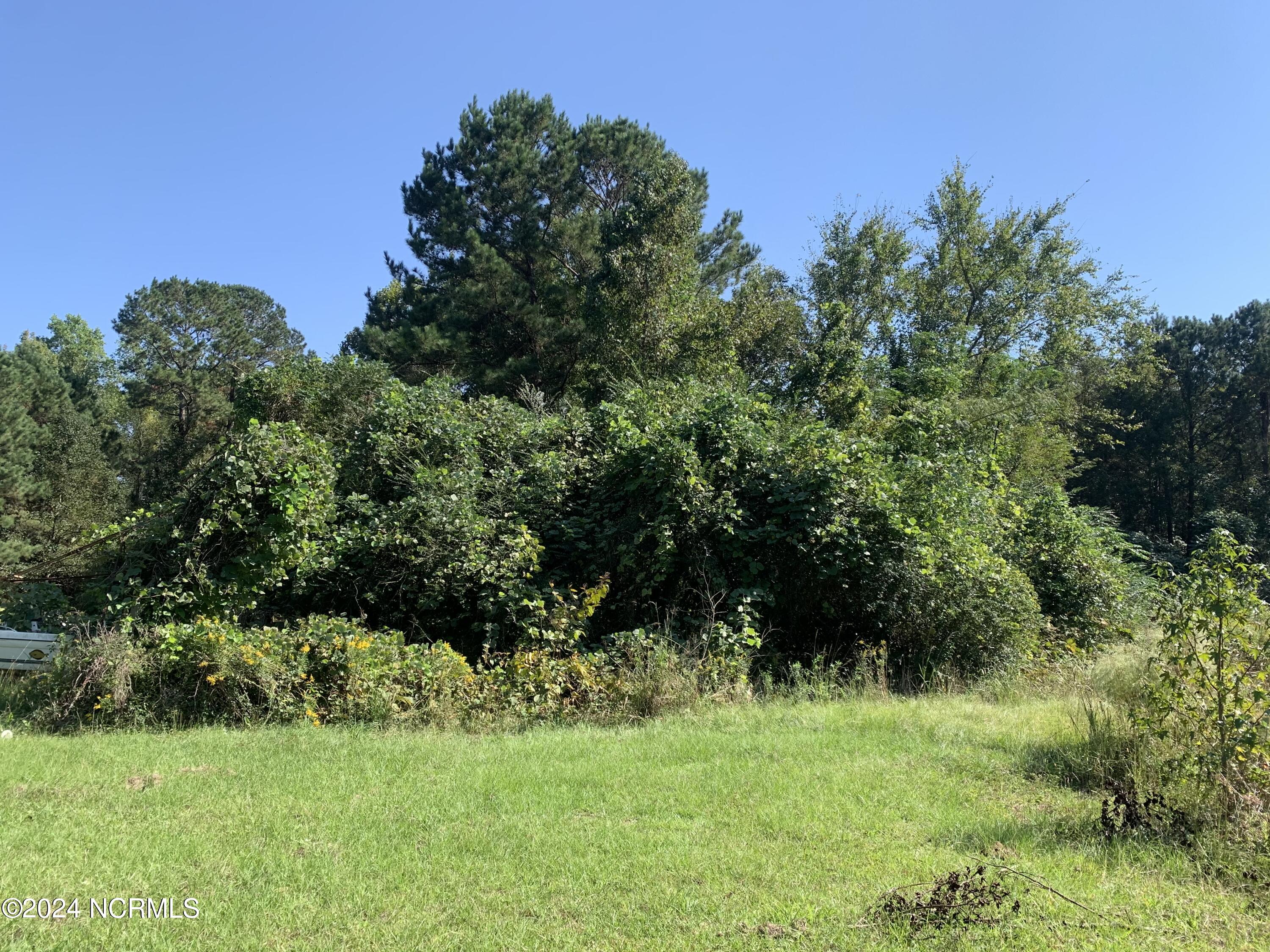 244 Bitmore Road Property Photo 16