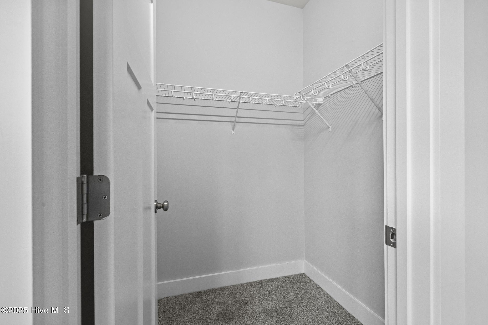 1399 Hammocks Beach Road Property Photo 19